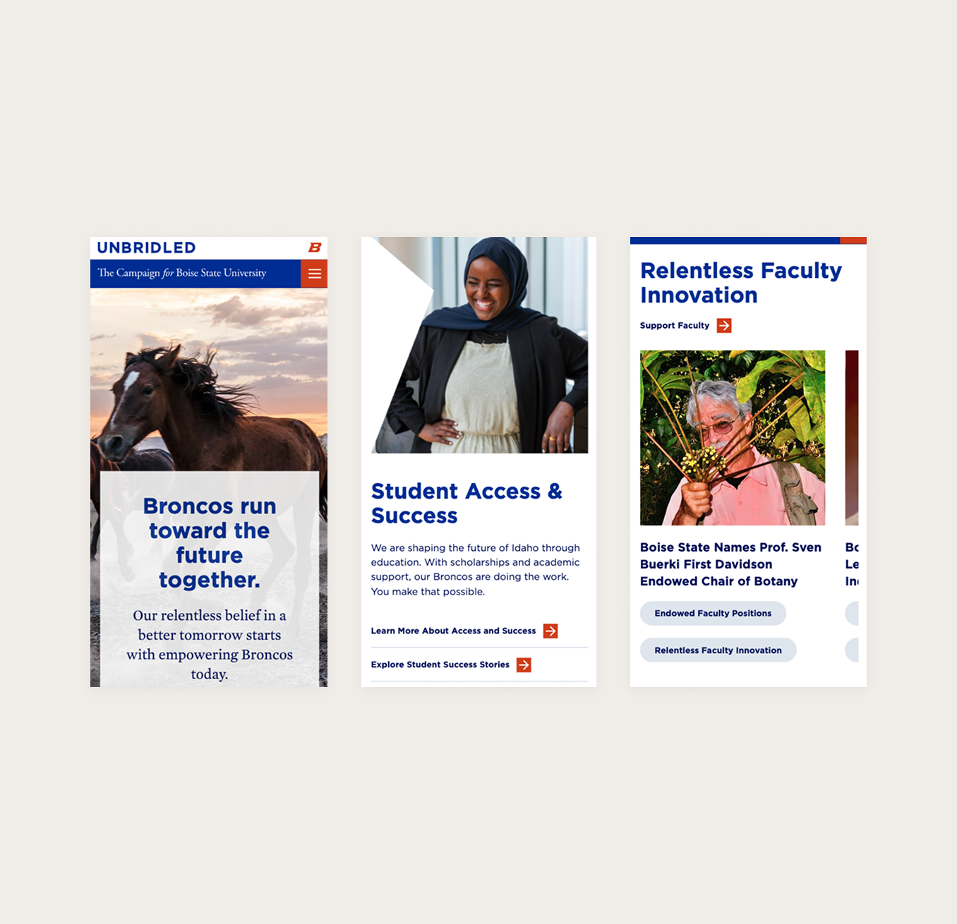 mobile screenshots of Unbridled campaign website